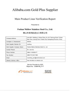 SGS Assessment -Main Product Lines Verification Report